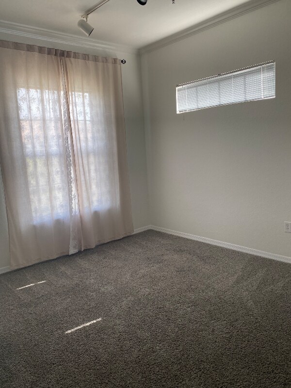 Building Photo - 8397-8338 38th St Cir E