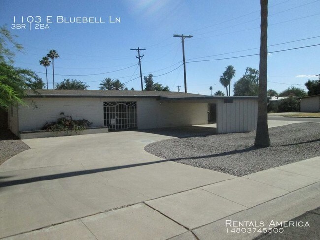 Building Photo - NO HOA!