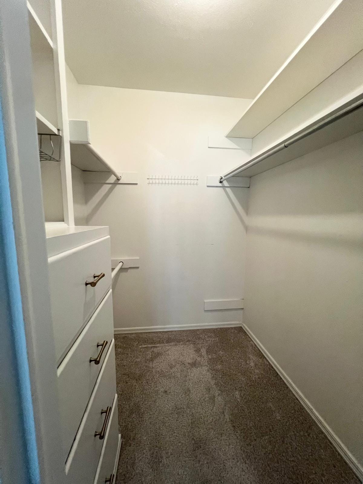 Building Photo - 8162 San Leandro Dr