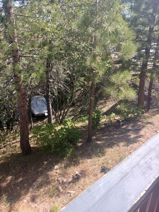 Building Photo - Beautiful Big Bear Home