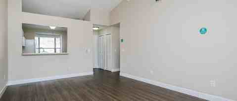 Building Photo - 2431 King Oak Ln