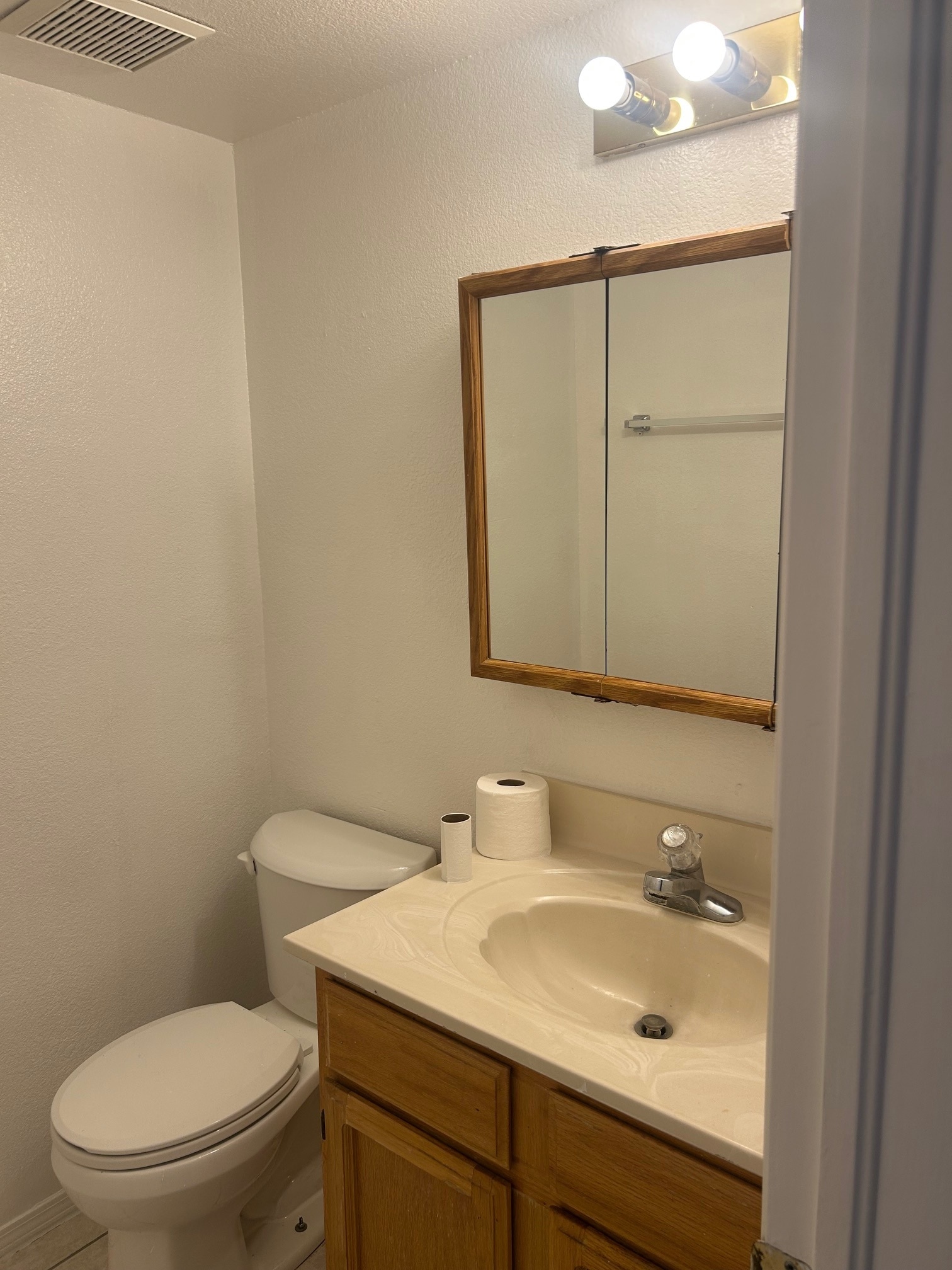 Guest bathroom - 1345 Trudy Elaine Dr