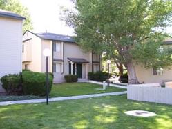 Primary Photo - Rancho Vista Apartments