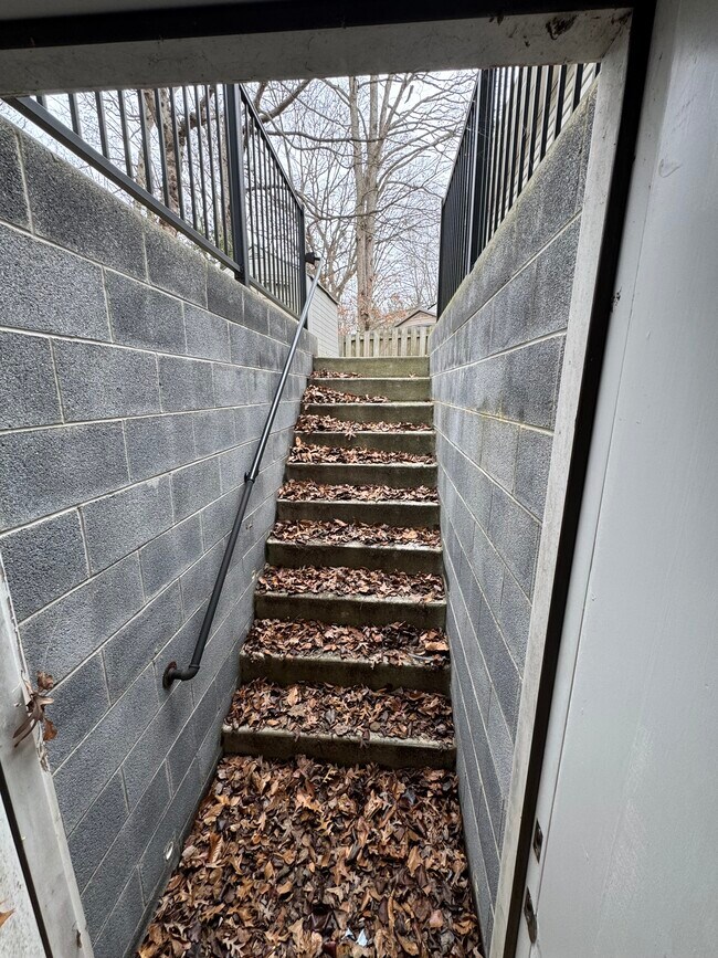 Building Photo - 8407 Finlay Ct