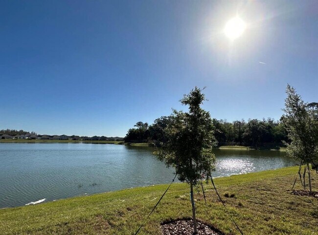 Building Photo - 5322 Royal Point Ave