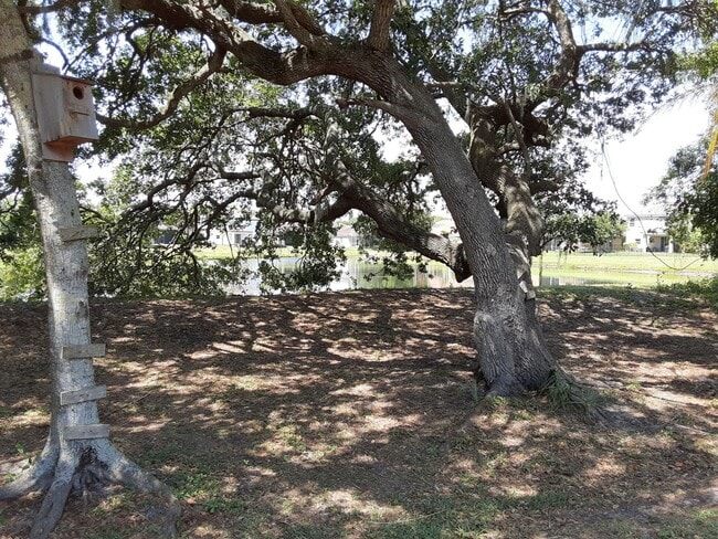 Building Photo - Annual unfurnished 3/2 nicely renovated SFH with large yard overlooking a lake.