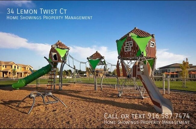 Building Photo - 34 Lemon Twist Ct