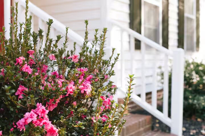 Building Photo - Room in House on Sandy Pines Dr