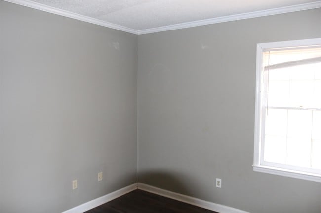 Building Photo - 2324 Jim Stokes Ct