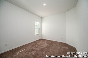 Building Photo - 31815 Christmas Rose