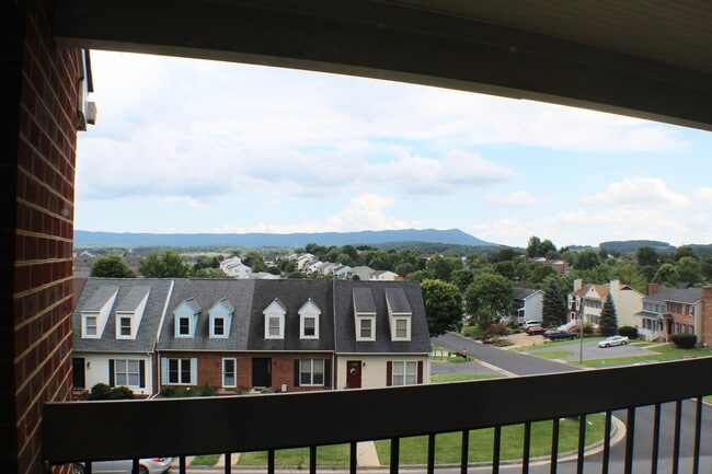 Building Photo - 1026-11 Blue Ridge Dr