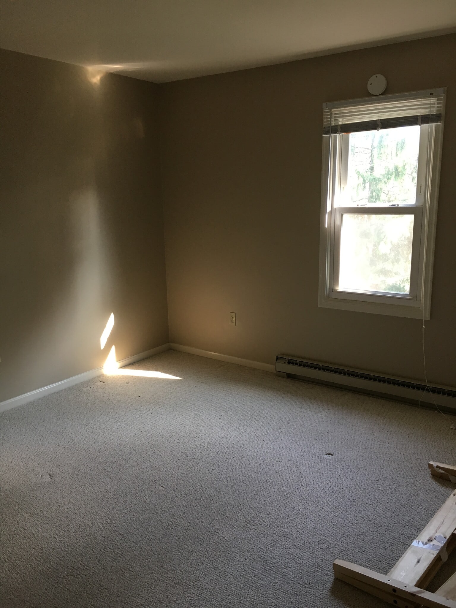 Back bedroom 3 - 556 Nicholas Ave