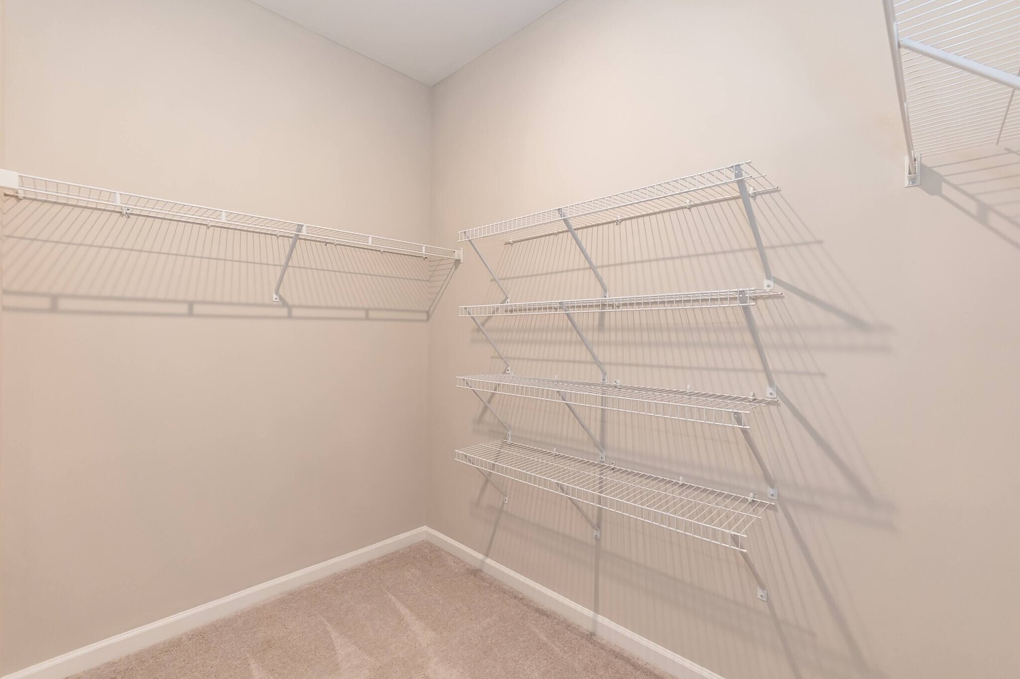 Building Photo - 1613 Arapahoe Ridge Dr