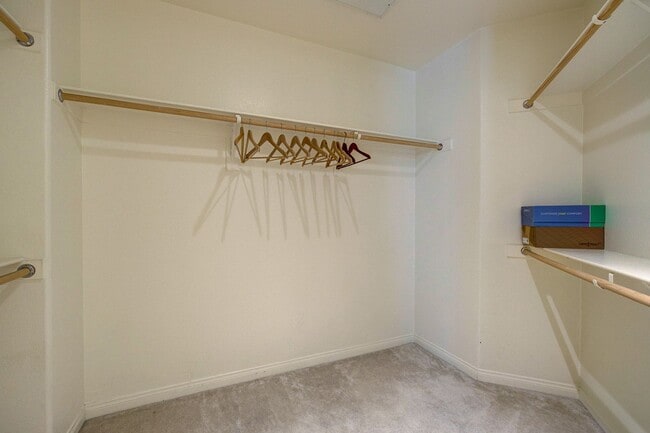 Primary Photo - STUNNING 3 BEDROOM 2 FULL BATH FIRST FLOOR...