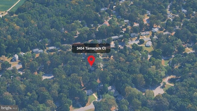 Building Photo - 3454 Tamarack Ct