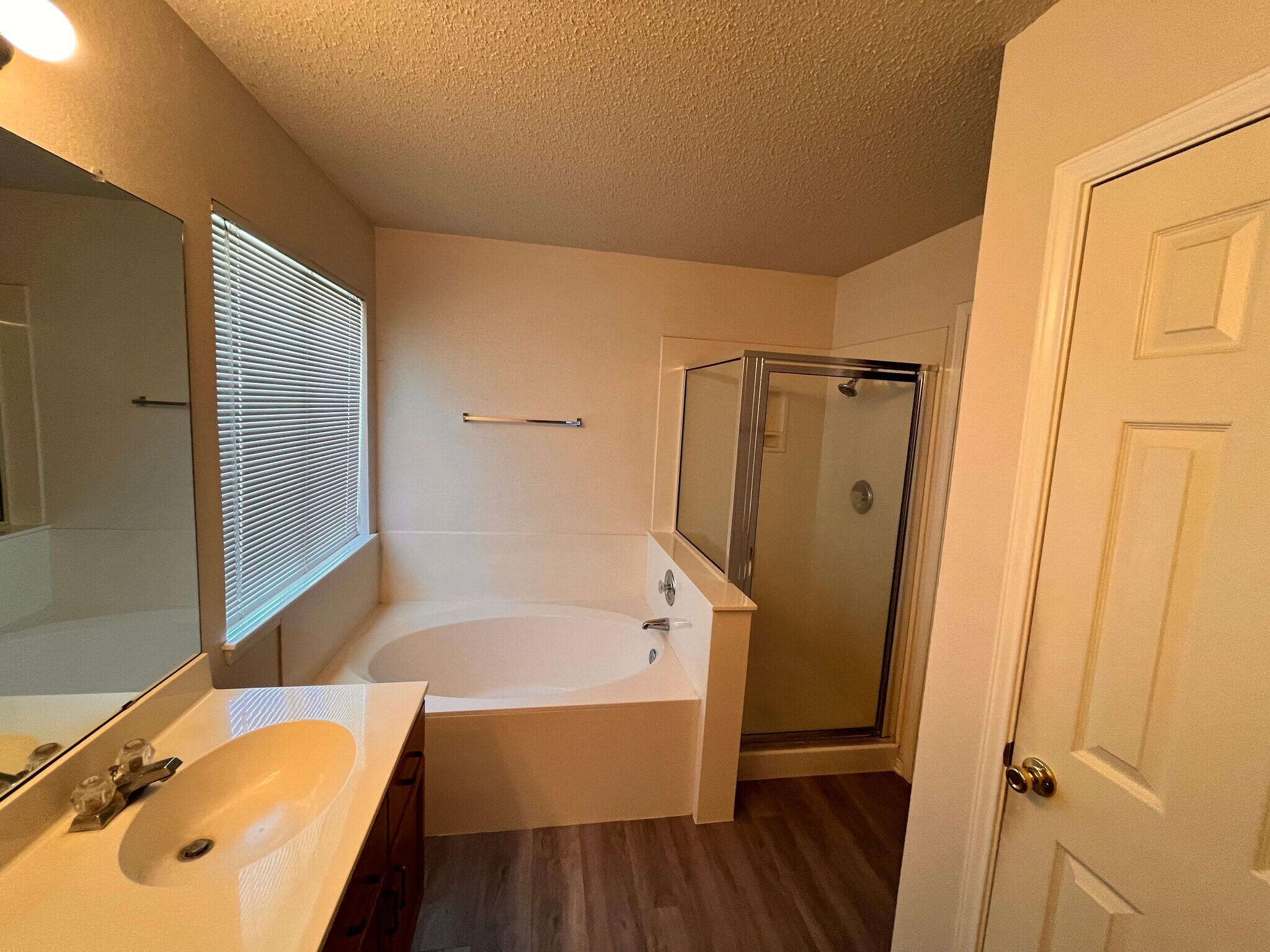 Master bath tub and standing shower - 8106 Hawick Dr