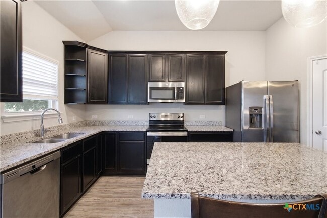 Building Photo - 1207 Amber Dawn Dr