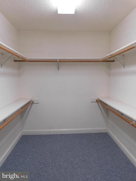 Building Photo - 108 Senseny Glen Dr