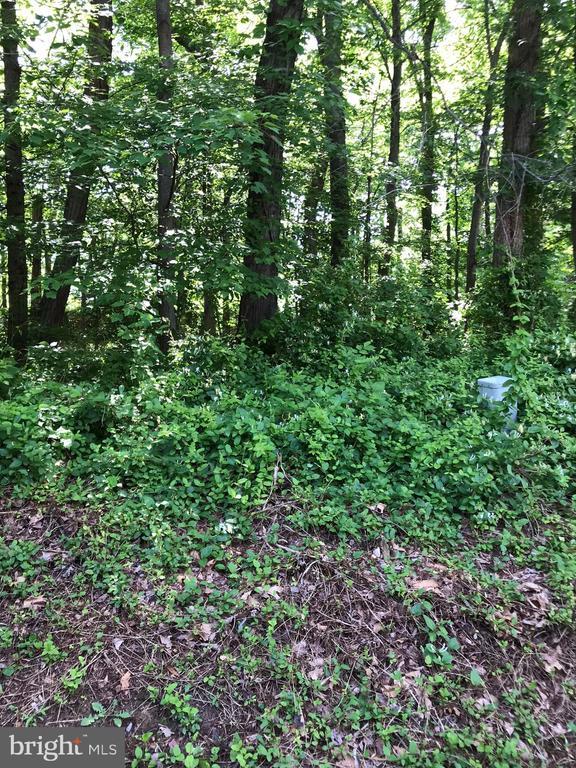 Building Photo - 1539 Woodcrest Dr