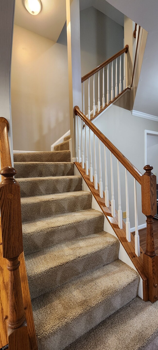 Descend these stairs down to the main entry foyer - 13 Steeple Ct