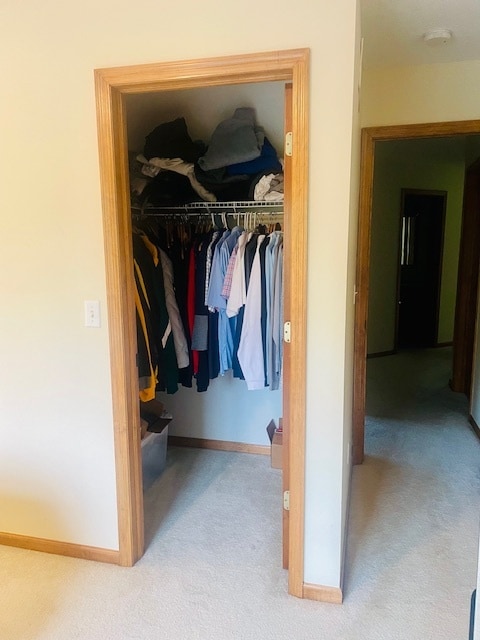 Walk in closet (clothes will be removed prior to move-in). - 18679 Pathfinder Dr
