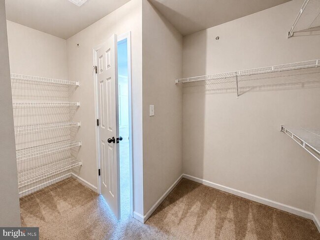 Building Photo - 5845 Bella Marie Wy