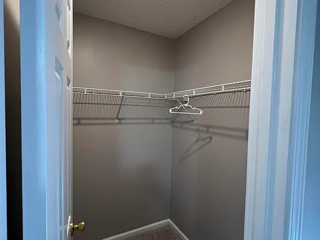 Building Photo - 6 Bedrooms 4 Bathroom 1672 Hammock Grove Lane