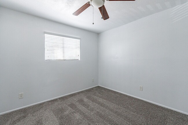Building Photo - NEW CARPET!