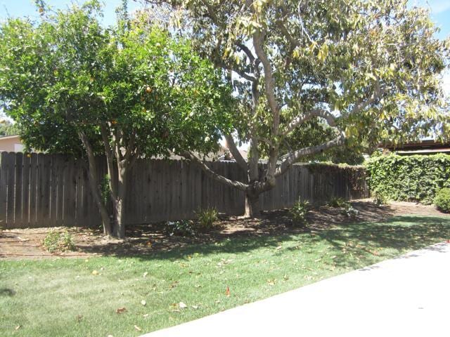 Building Photo - 57 Dana Point Ave