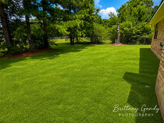 Building Photo - Rental Property on Frierson