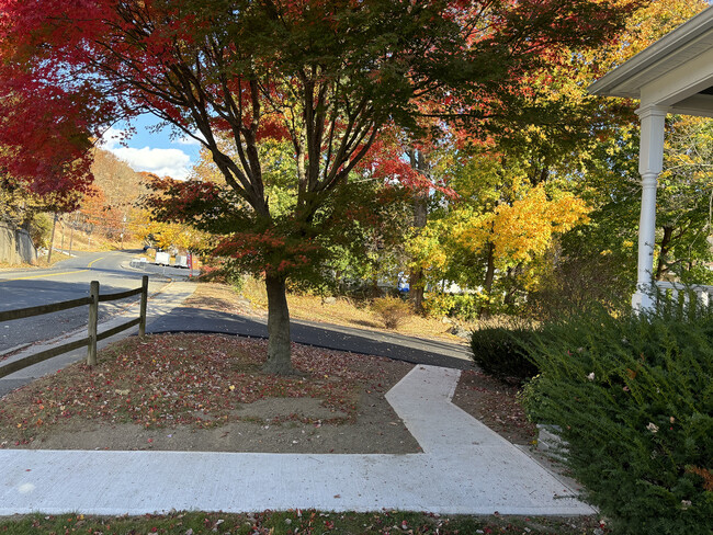 Street view from front porch - 210 Echo Lake Rd