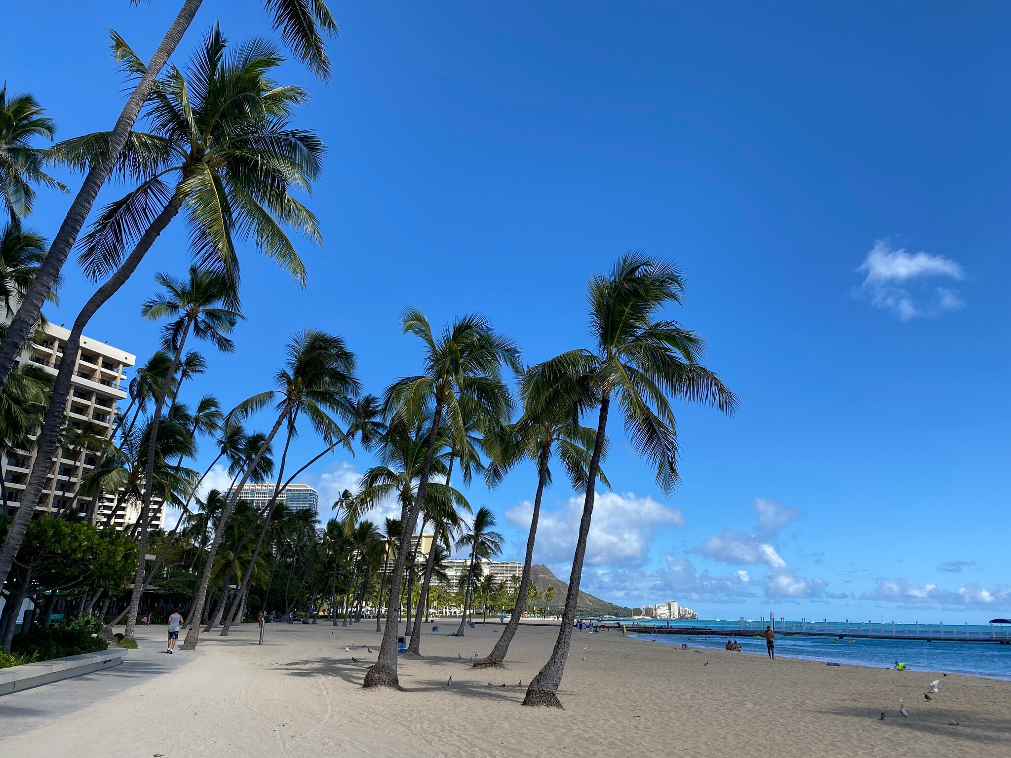 This is the beginning of Waikiki Beaches - 1778 Ala Moana Blvd