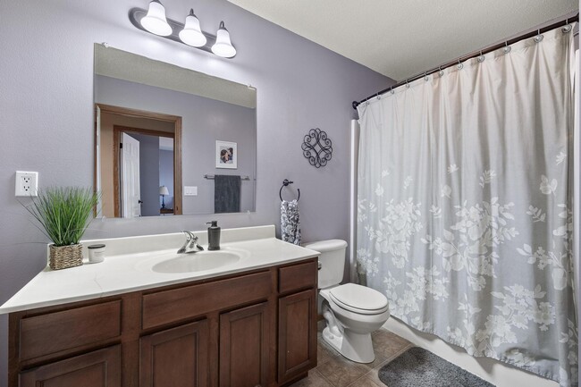 Bathroom 2 - 1839 Goose Lake Cir