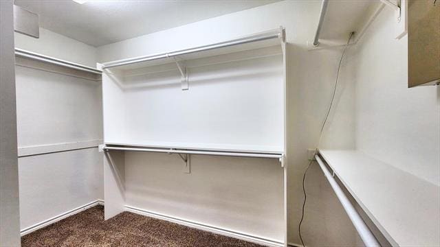 Building Photo - 2628 Crepe Myrtle Dr