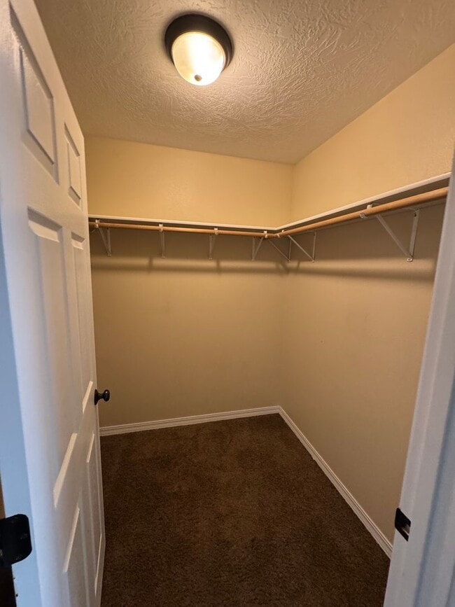 Building Photo - Cozy 4 bed 3 bath house