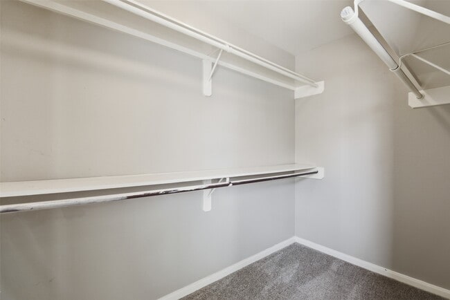 Building Photo - 3327 Shady Glen Ln