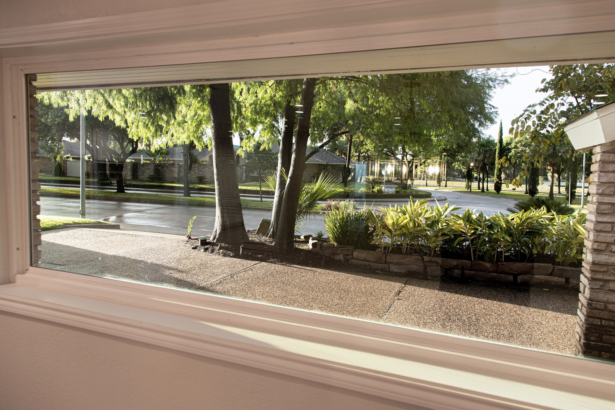 View from dining room - 3619 Braeswood S Blvd