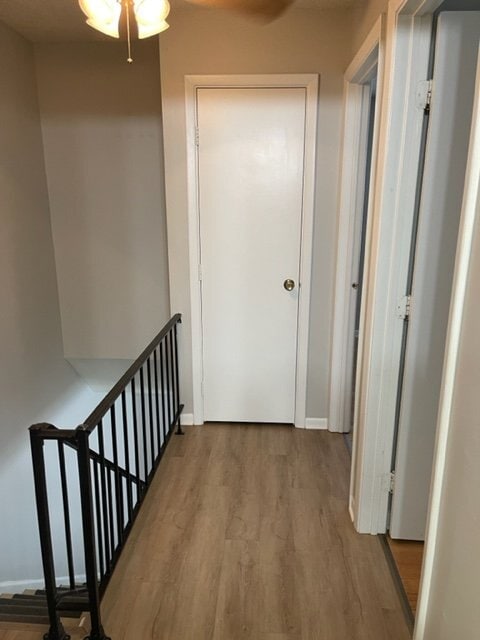 Building Photo - 6536 Lupine Terrace