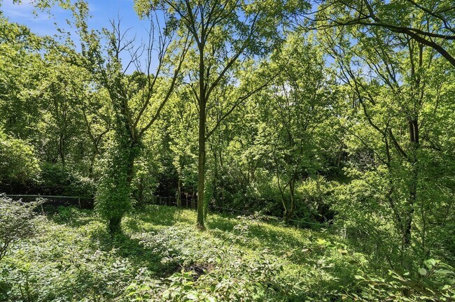 Building Photo - Three Bedroom Home with Great Outdoor Entertainment Space!