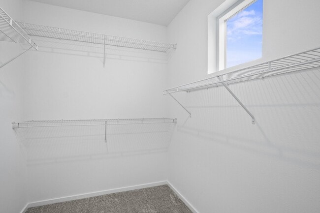 Building Photo - 2783 N Talon Ln