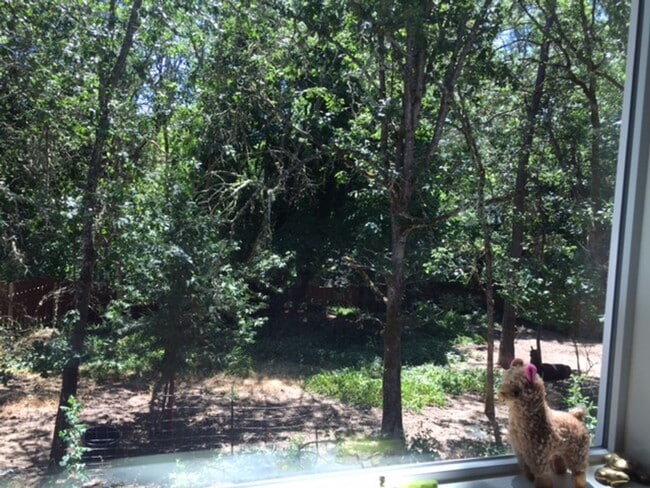 Building Photo - 2BED 2BATH - NEWLY RENOVATED, YARD, WASHER DRYER, STORAGE, NEAR DOWNTOWN