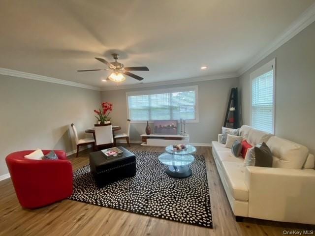 Building Photo - 61 Adams Way