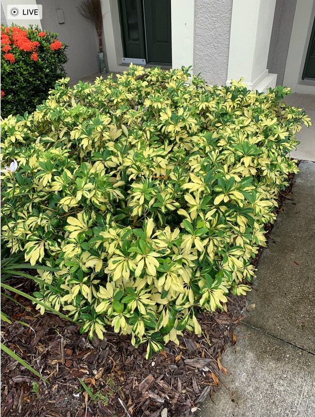 Building Photo - 10428 Red Carpet Ct