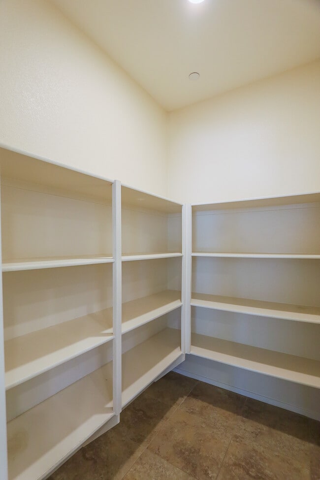 Building Photo - 1294 Luna del Oro Ln