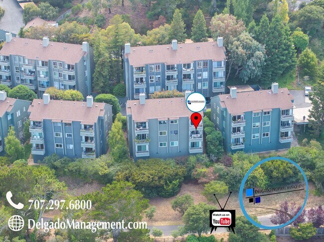 Building Photo - Sausalito living in this 2bd/2ba hillside ...