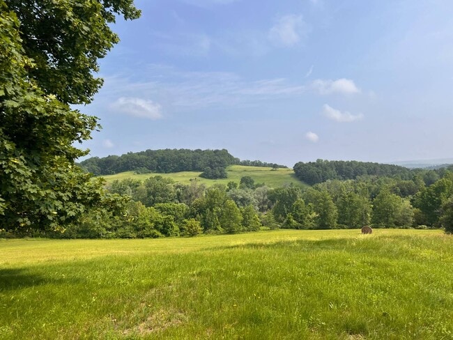 Primary Photo - 5408 NY-22