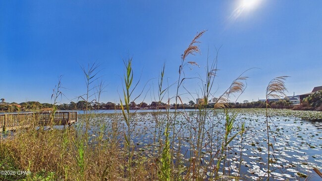 Building Photo - 301 Lullwater Dr