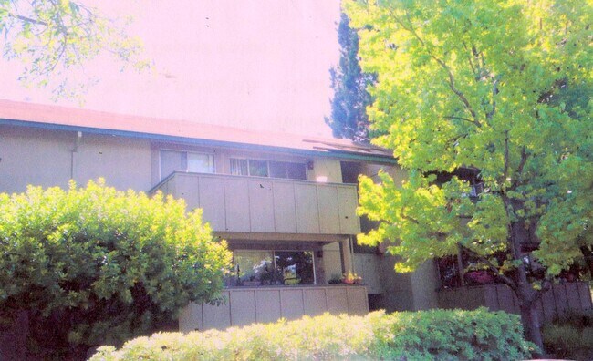 Condo outside - 2452 W Bayshore Rd