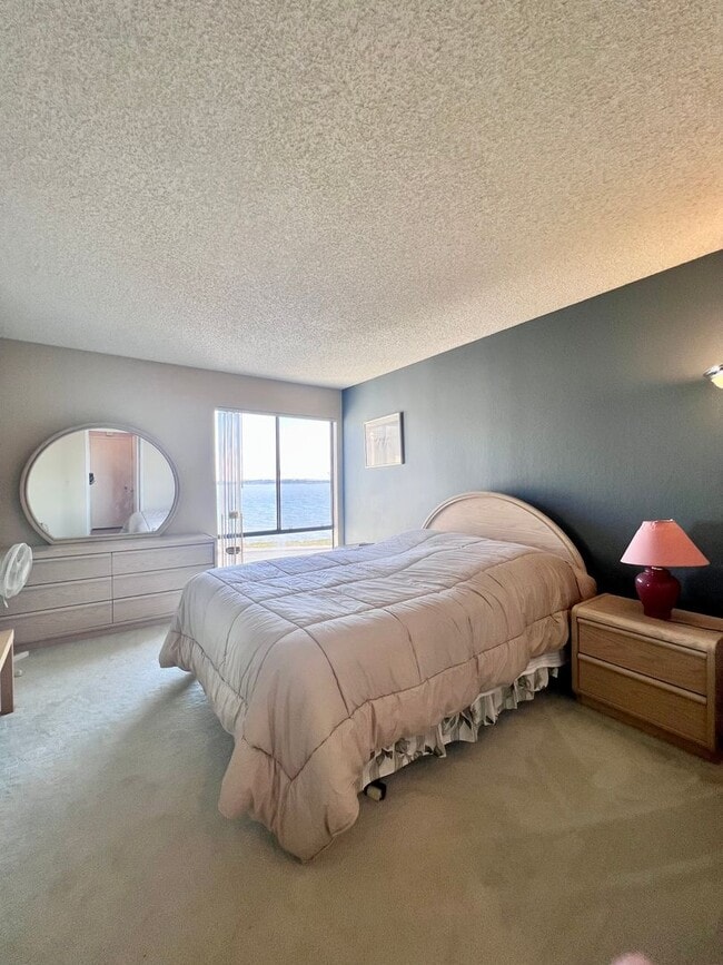 Building Photo - Large furnished one bedroom with spectacular water views