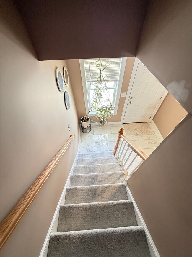 Building Photo - Luxury Duplex